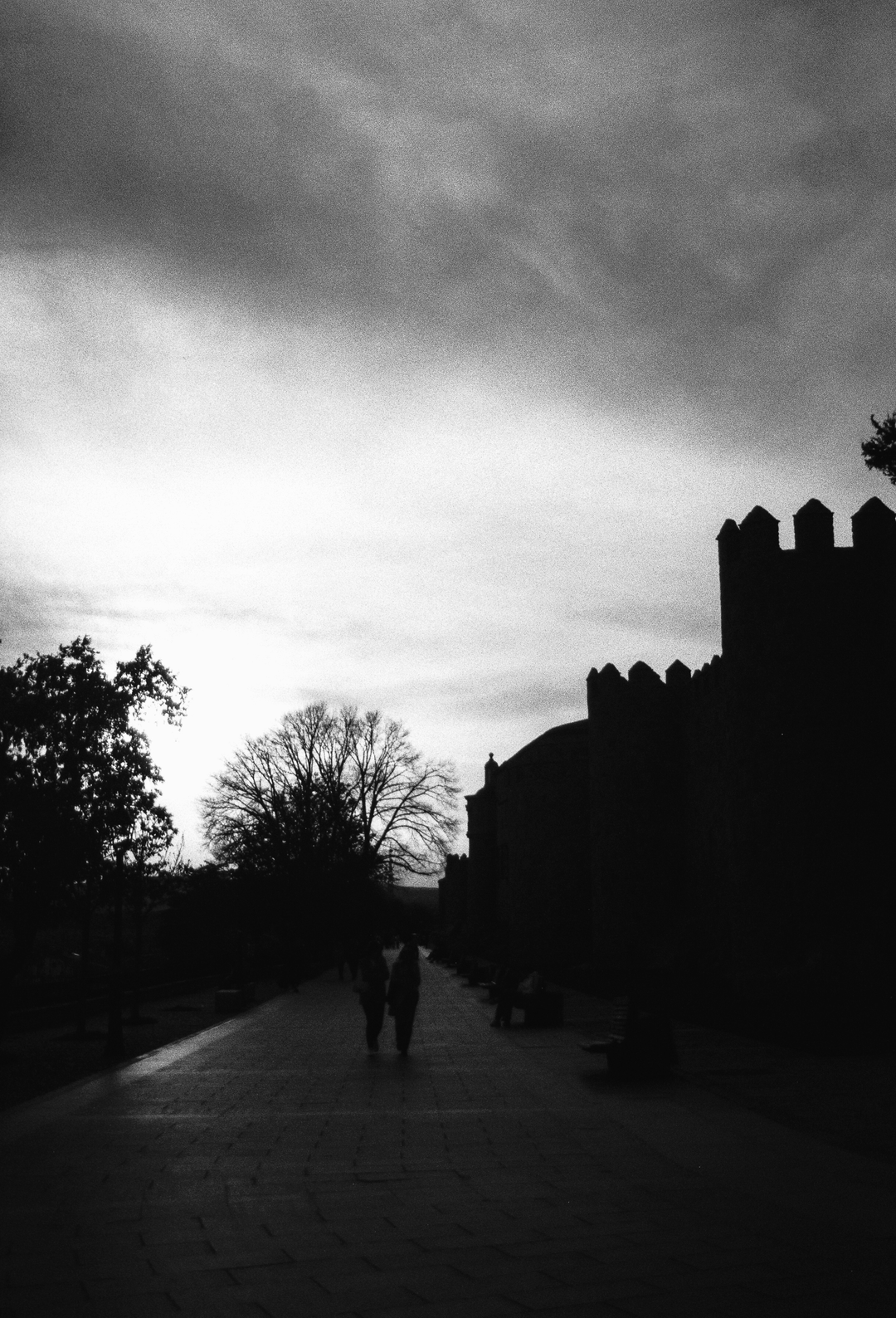  South side of the rampart wall of Avila, Spain.  (c) pmartinasi