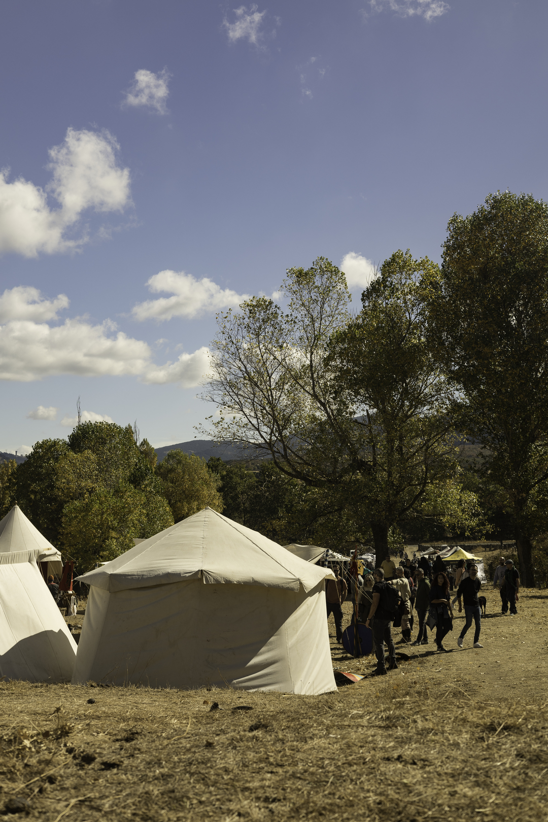  Historical reenactment of "La Hispania de los Vikingos” at El Espinar, Segovia, Spain. October 2025. (c) pmartinasi