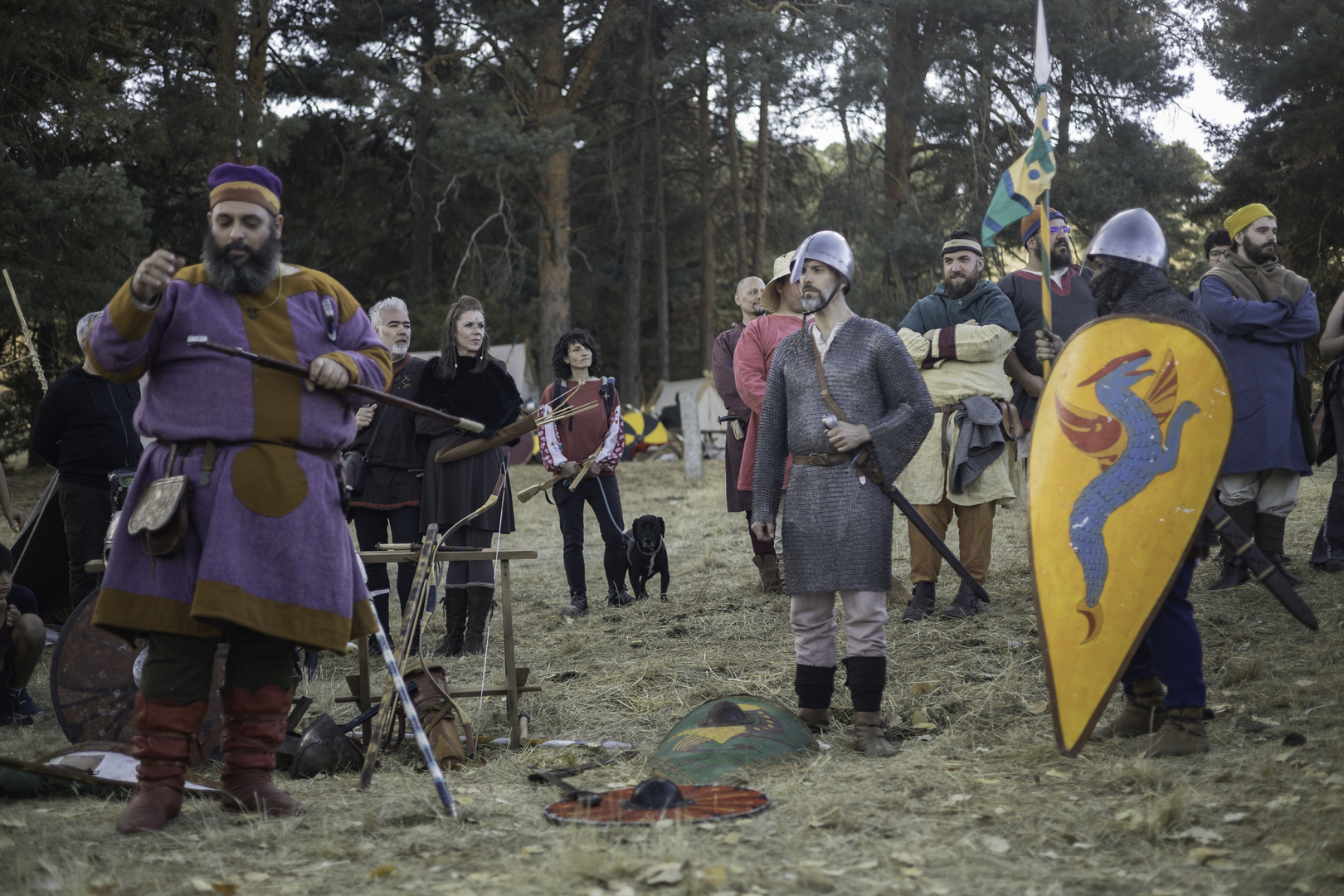  Historical reenactment of "La Hispania de los Vikingos” at El Espinar, Segovia, Spain. October 2025. (c) pmartinasi