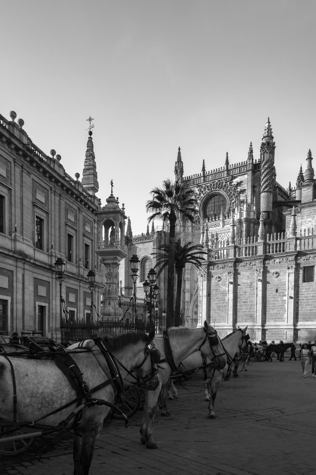 Sevilla's Giralda, with horse riding carriages (c) pmartinasi