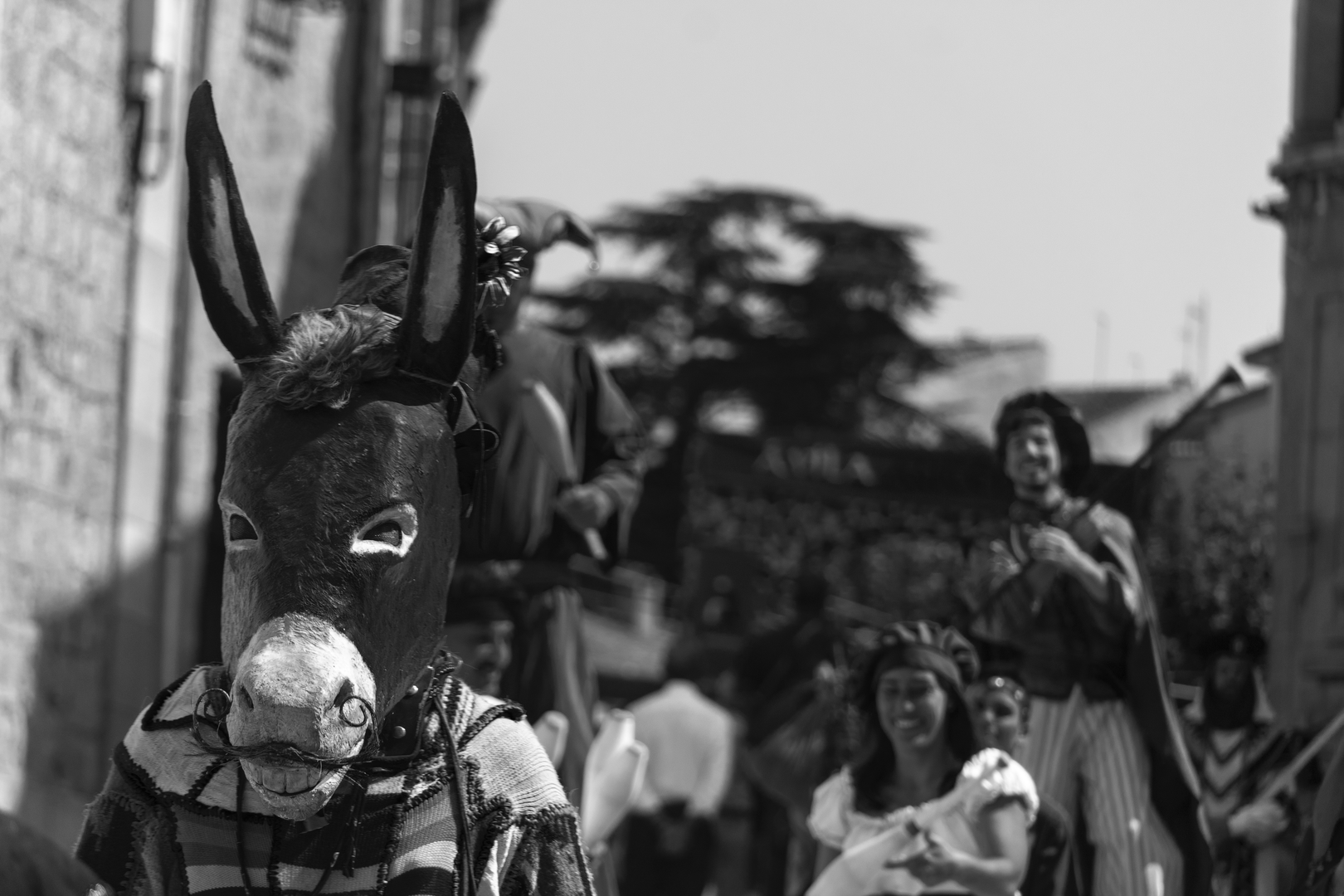 Parade of the Medieval Market at Avila, Spain (c) pmartinasi