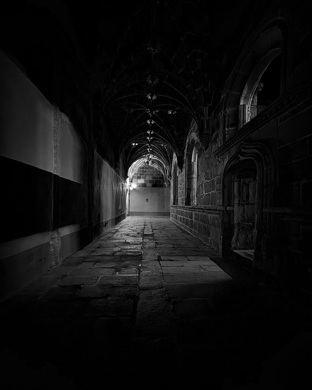 A quiet walk through history. This cloister at the Monastery of Santo Tomás in Ávila feels like stepping into another century—stone, silence, and a single light guiding the way. A place where time slows down, even for a moment. (c) pmartinasi
