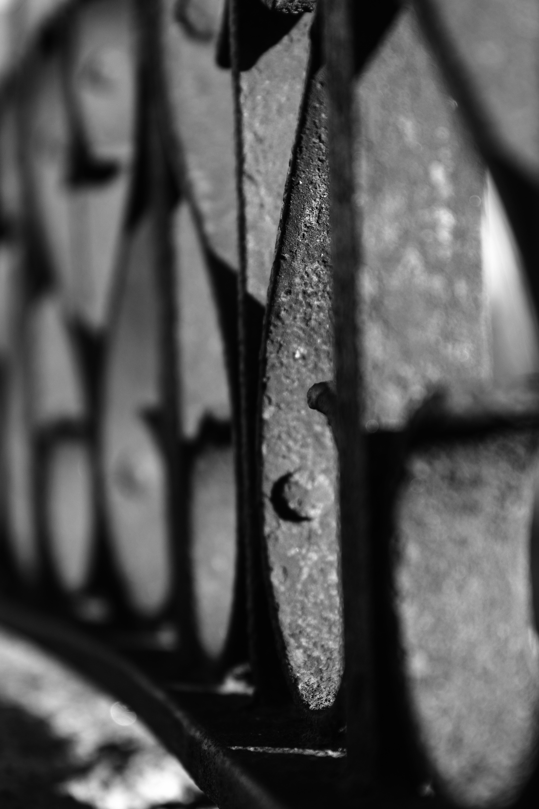 Abstract Black and White Close-Up of a Weathered Metal Railing in Soft Light (c) pmartinasi