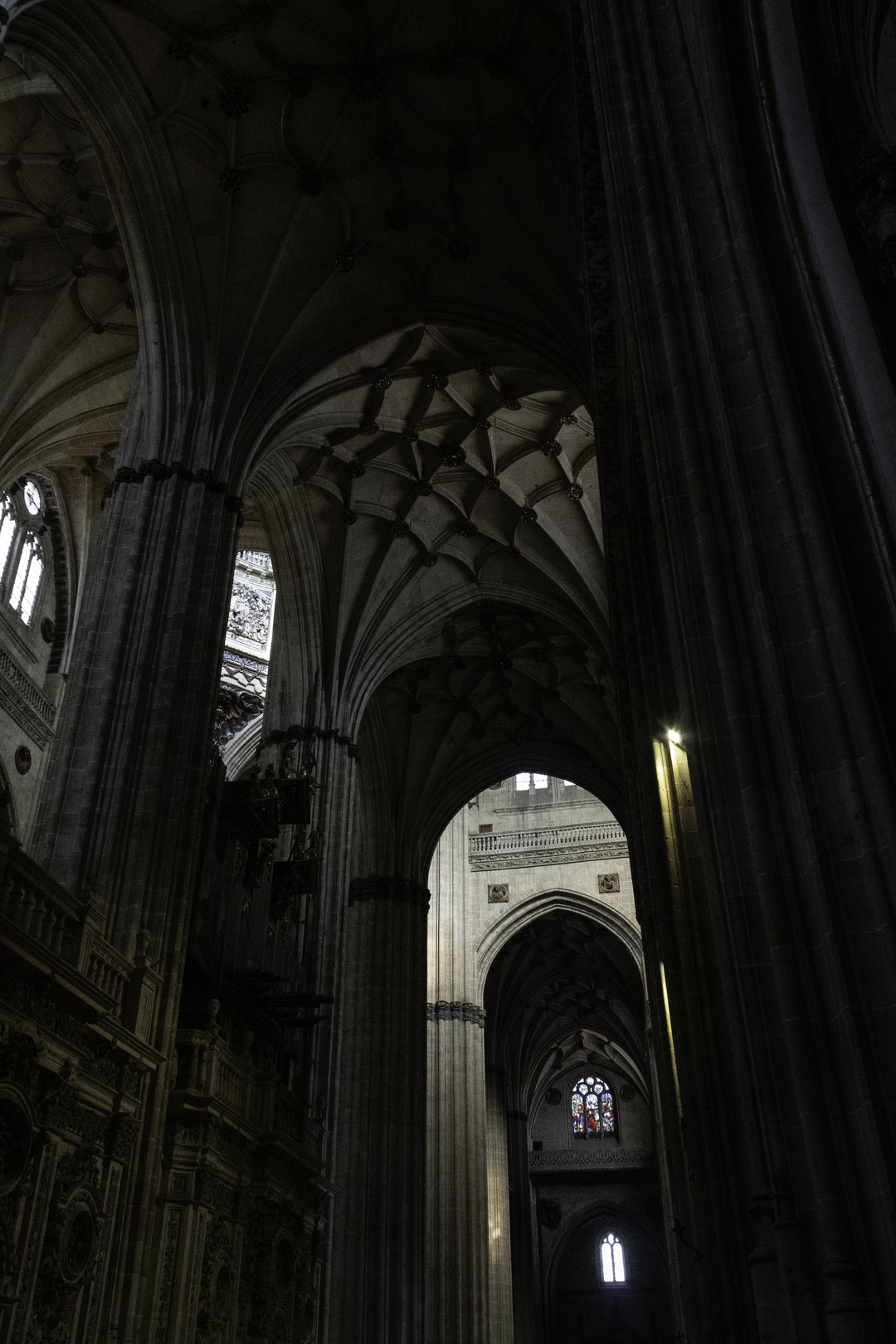  Nave of the new cathedral in Salamanca. (c) pmartinasi