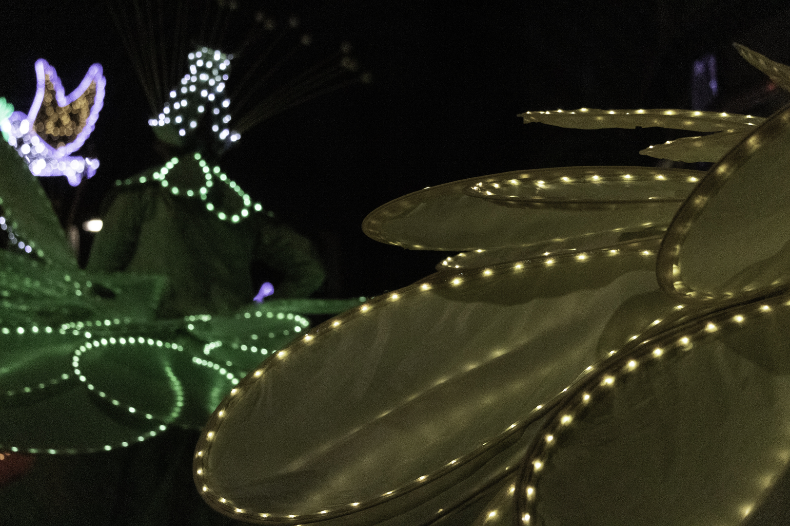  Avila, Spain; 01.05.2026: Illuminated costumes and glowing details during the Three Wise Men Parade 2026 in Ávila, capturing the magical night atmosphere of the traditional Epiphany celebration in Spain. January 2026. (c) pmartinasi