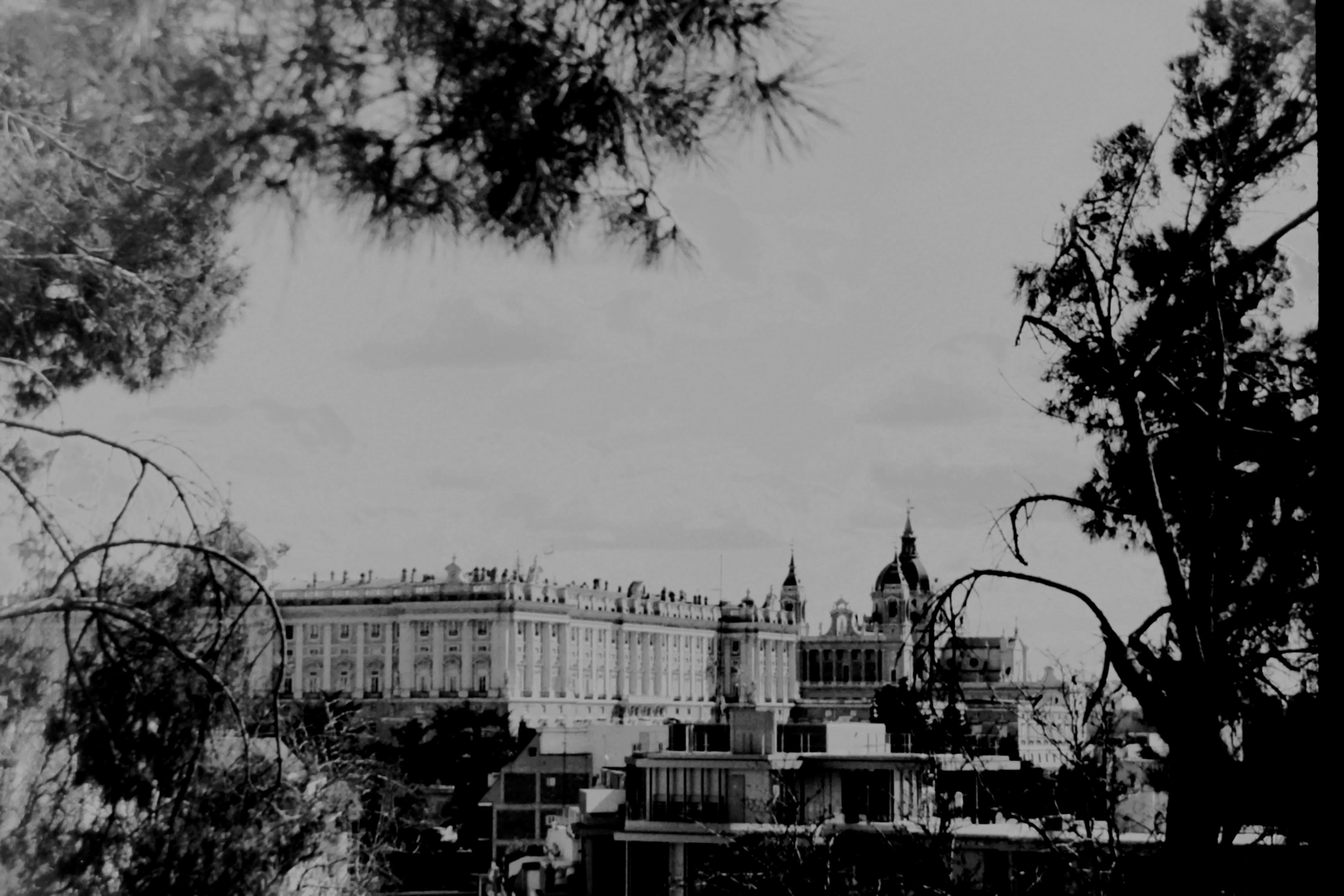  Views of Royal Palace at Madrid (c) pmartinasi