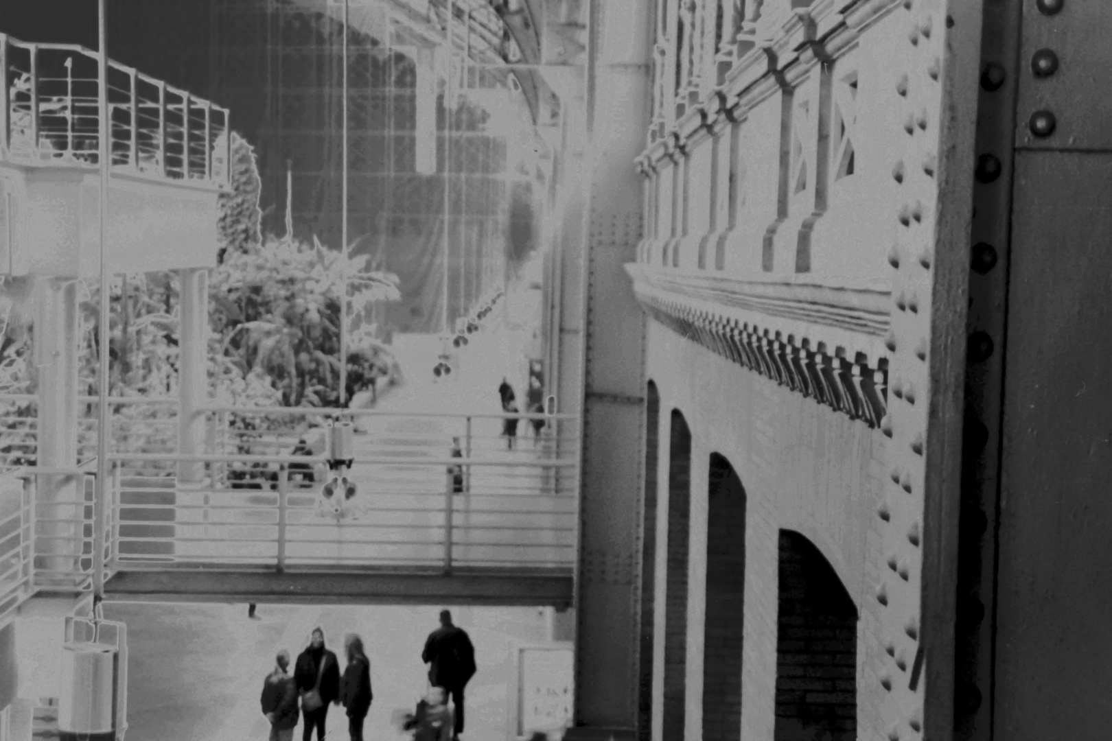  Gardens of Atocha train station, Madrid (c) pmartinasi