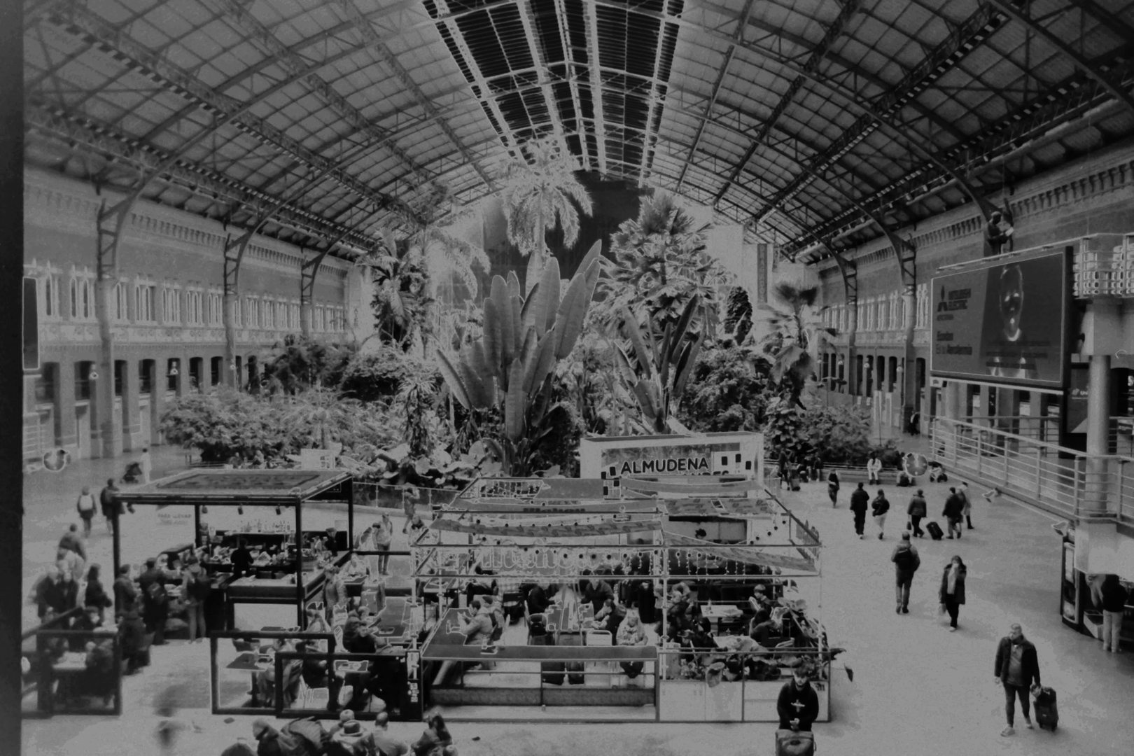  Gardens of Atocha train station, Madrid (c) pmartinasi