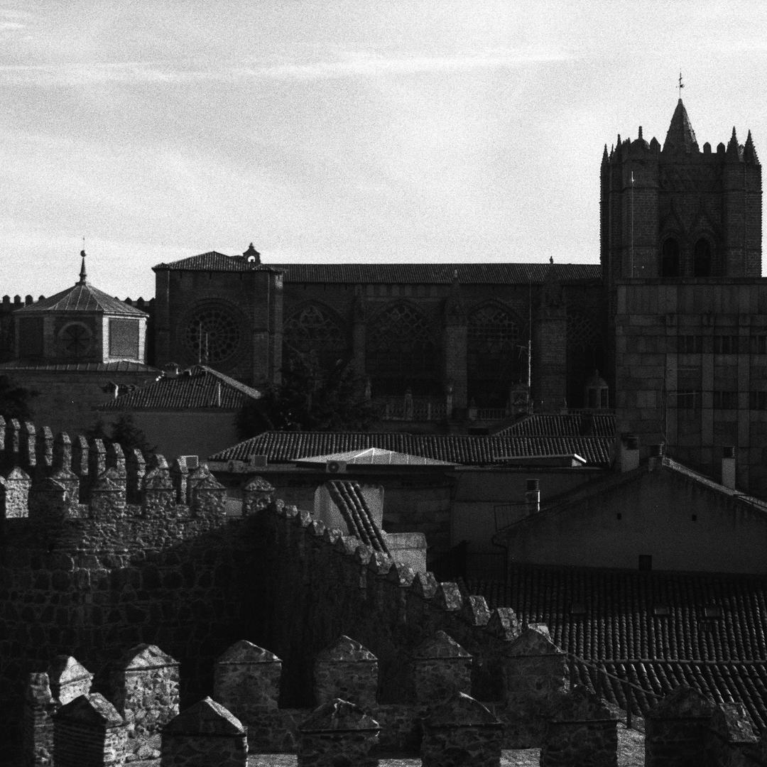  North view of the cathedral in Ávila, Spain (c) pmartinasi