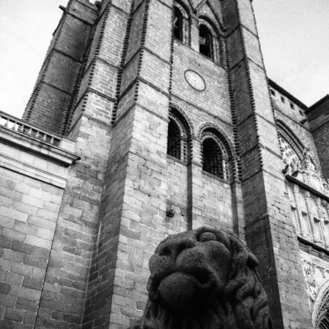  View of the belfry of the cathedral, protected by a stone lion, in Ávila, Spain (c) pmartinasi