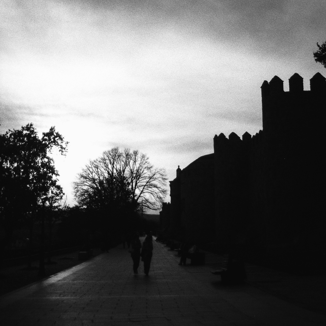  South side of the rampart wall of Avila, Spain.  (c) pmartinasi