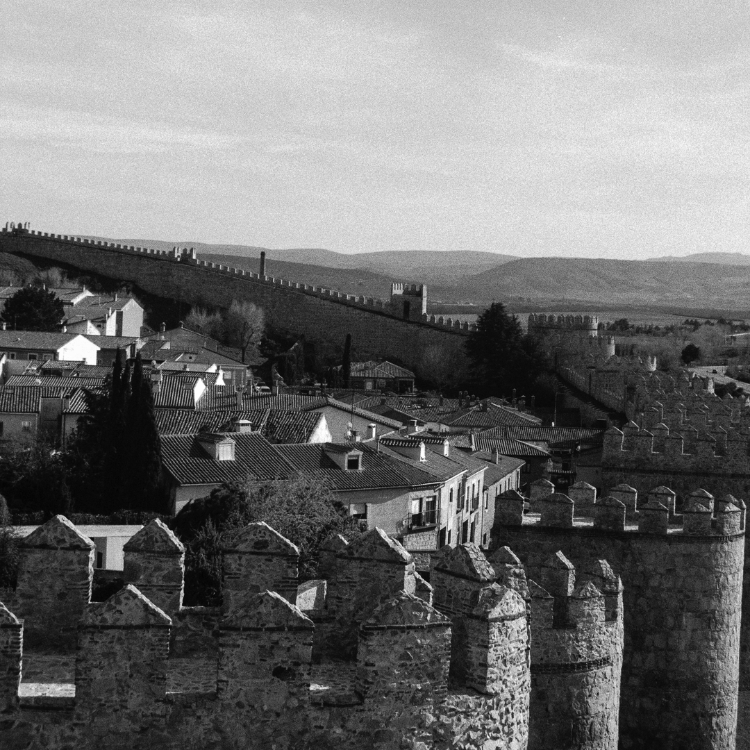  East side of the rampart wall of Avila, Spain, viewed from its top (c) pmartinasi