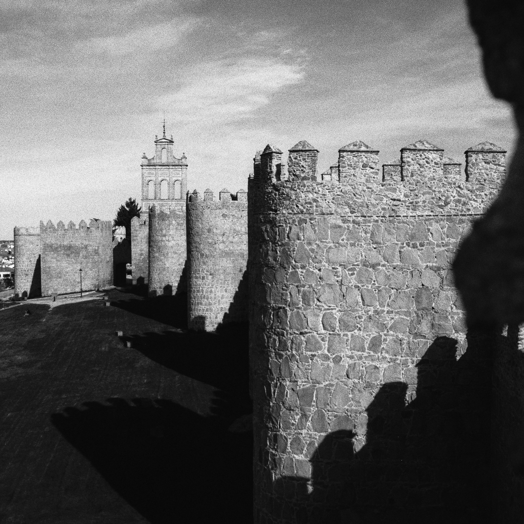  North side of the rampart wall of Avila, Spain, viewed from its top (c) pmartinasi