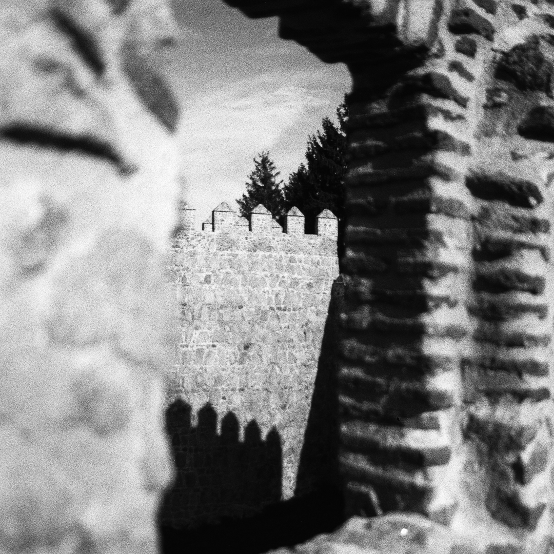  Rampart wall of Avila, Spain, viewed from its top. (c) pmartinasi