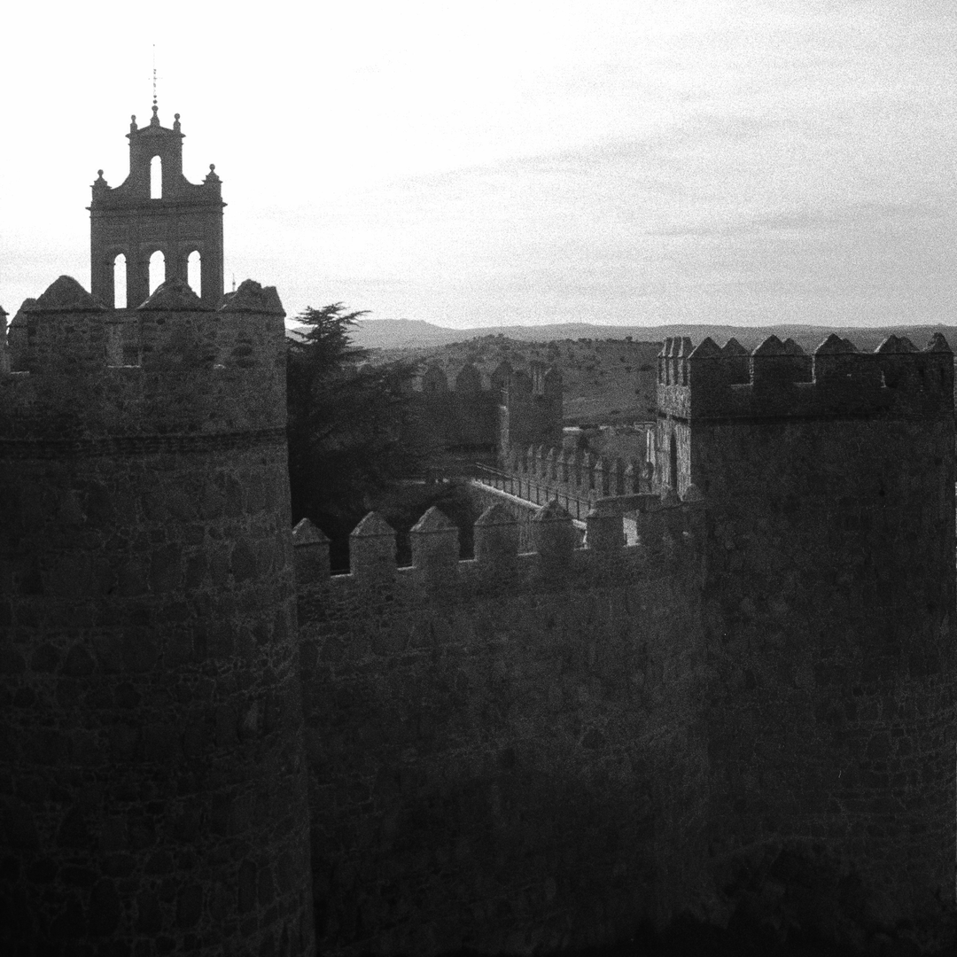  Rampart wall of Avila, Spain, viewed from its top, and the the "Carmen" belfry (c) pmartinasi