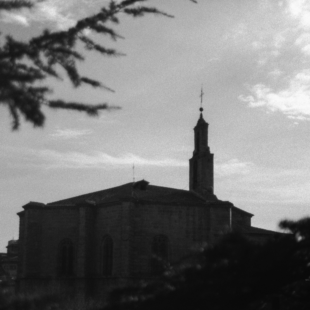  Royal Monastery of St. Thomas, a monastery of the Catholic Monarchs of Spain in Gothic style in Ávila, Spain.  (c) pmartinasi