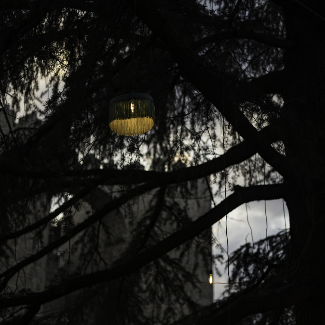   Ávila Enlight transforms San Vicente Garden into a magical night show with lights, projections, music, and heritage on August 1–2, celebrating Ávila's history and beauty. (c) pmartinasi