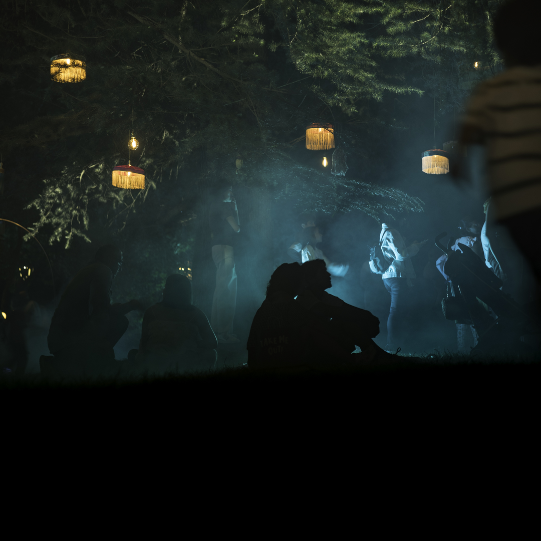   Ávila Enlight transforms San Vicente Garden into a magical night show with lights, projections, music, and heritage on August 1–2, celebrating Ávila's history and beauty. (c) pmartinasi