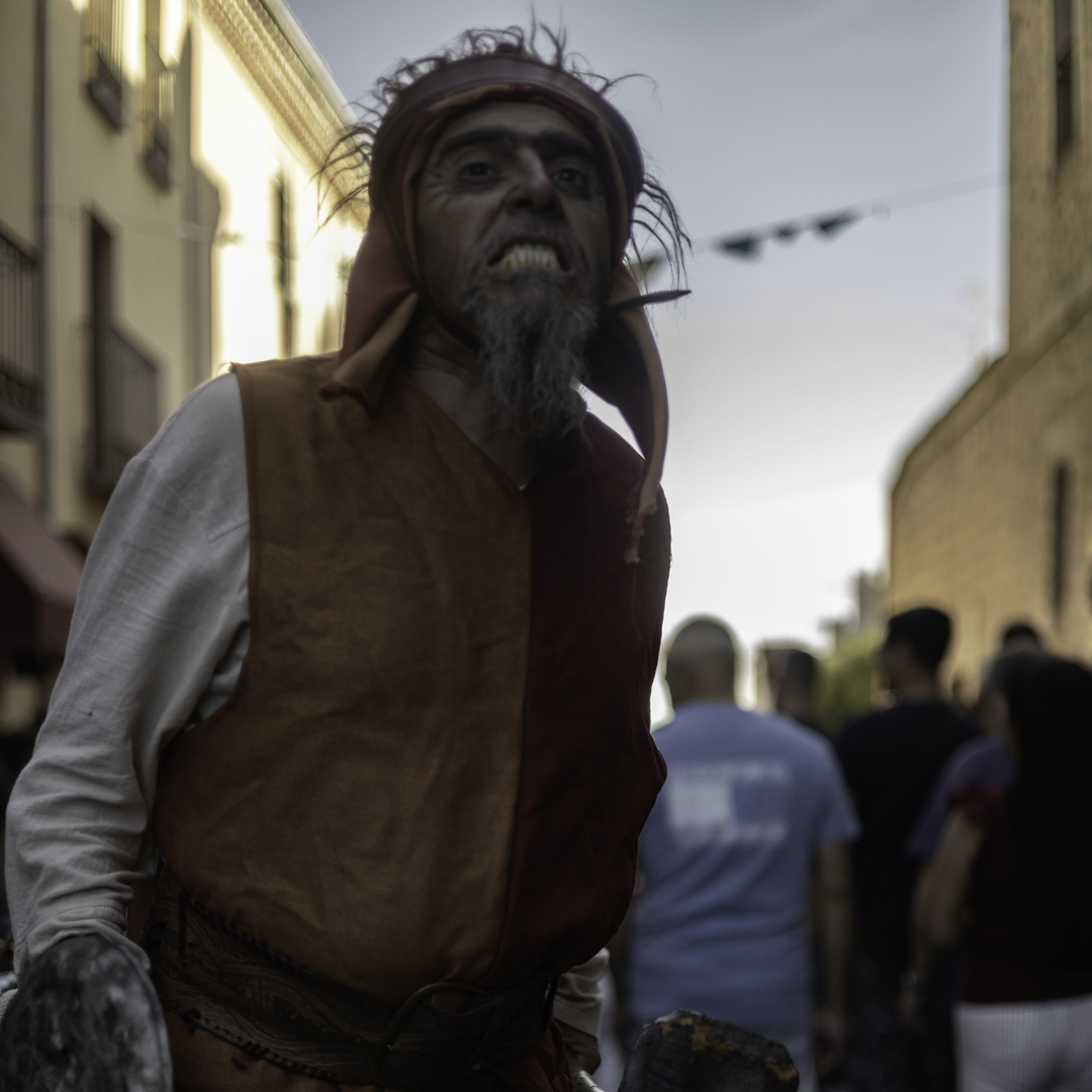  Minstrels and parades at the Medieval Market and Fair in Avila, Spain. September 2025. (c) pmartinasi