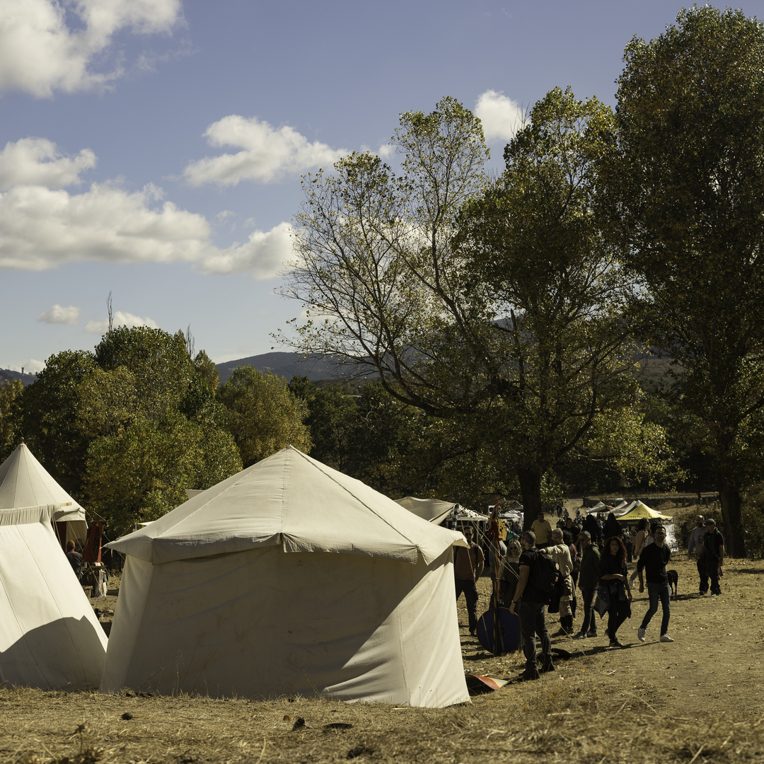  Historical reenactment of "La Hispania de los Vikingos” at El Espinar, Segovia, Spain. October 2025. (c) pmartinasi