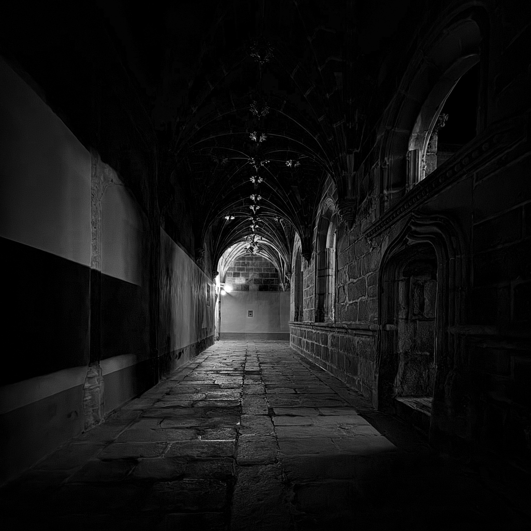 A quiet walk through history. This cloister at the Monastery of Santo Tomás in Ávila feels like stepping into another century—stone, silence, and a single light guiding the way. A place where time slows down, even for a moment. (c) pmartinasi