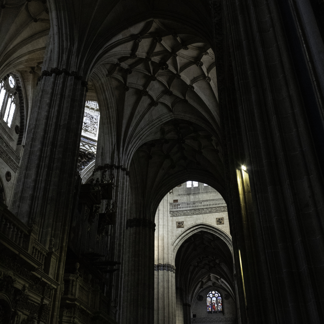  Nave of the new cathedral in Salamanca. (c) pmartinasi