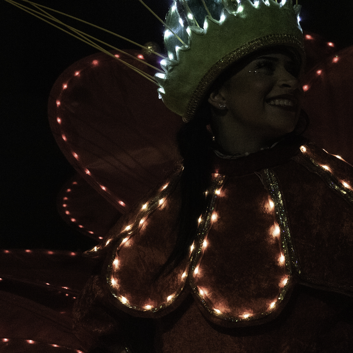  Avila, Spain; 01.05.2026: Illuminated costumes and glowing details during the Three Wise Men Parade 2026 in Ávila, capturing the magical night atmosphere of the traditional Epiphany celebration in Spain. January 2026. (c) pmartinasi