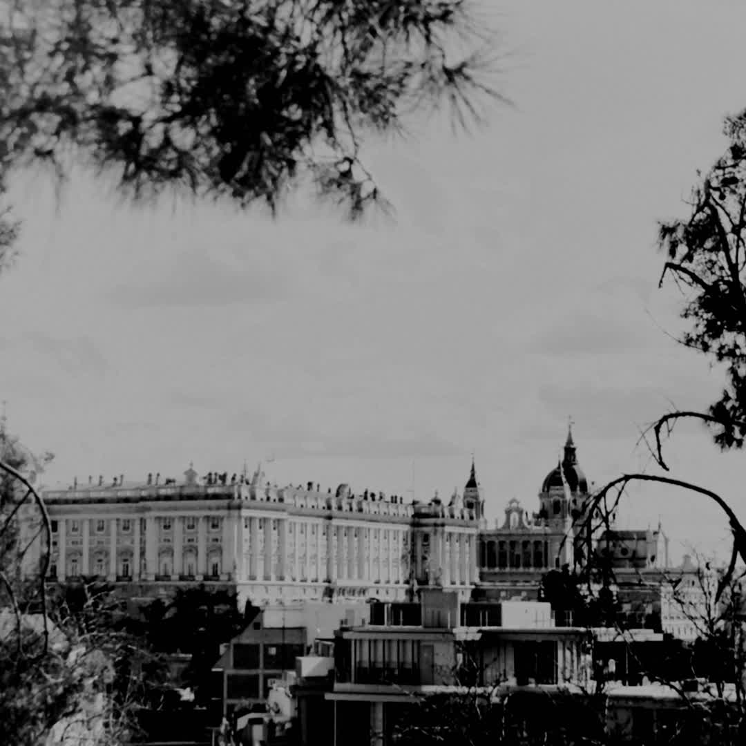  Views of Royal Palace at Madrid (c) pmartinasi