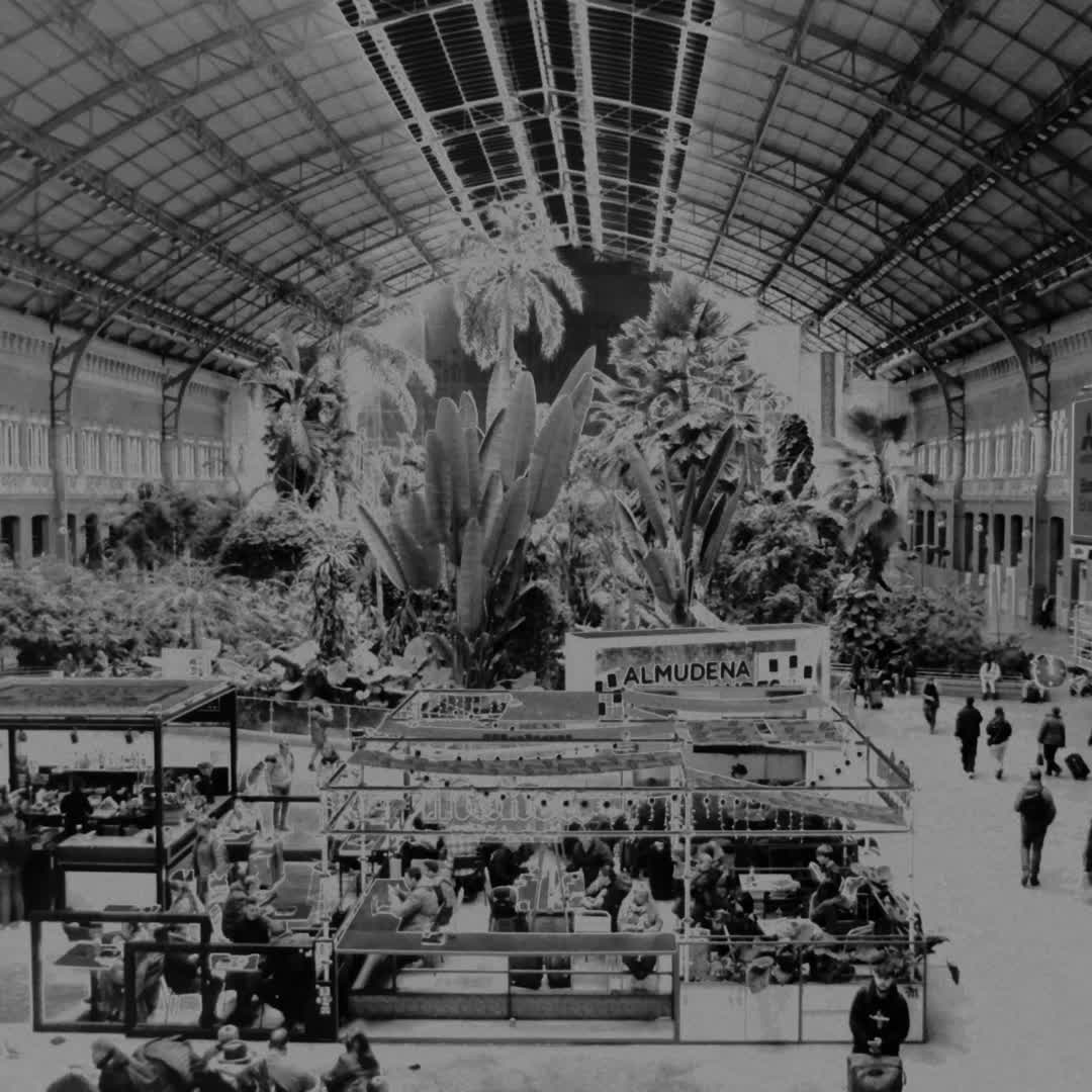  Gardens of Atocha train station, Madrid (c) pmartinasi